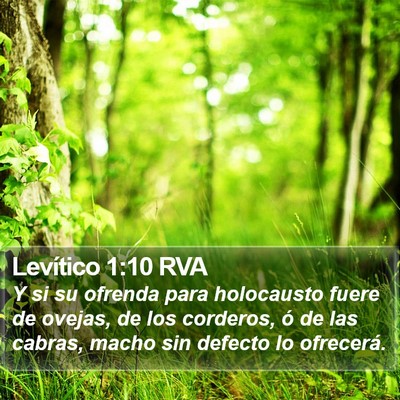 Levítico 1:10 RVA Bible Verse Image