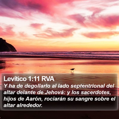 Levítico 1:11 RVA Bible Verse Image