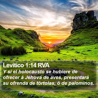 Levítico 1:14 RVA Bible Verse Image