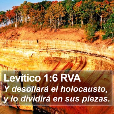 Levítico 1:6 RVA Bible Verse Image