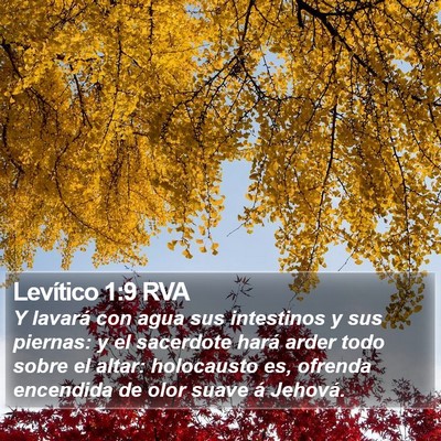 Levítico 1:9 RVA Bible Verse Image
