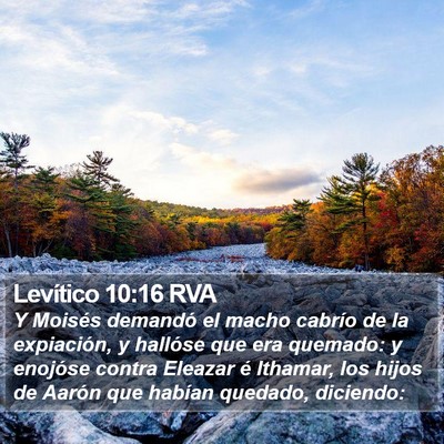 Levítico 10:16 RVA Bible Verse Image