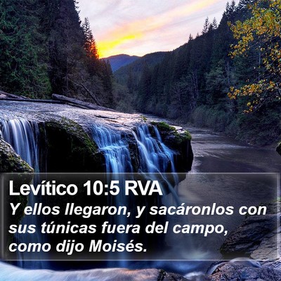 Levítico 10:5 RVA Bible Verse Image