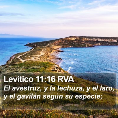 Levítico 11:16 RVA Bible Verse Image