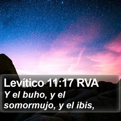Levítico 11:17 RVA Bible Verse Image
