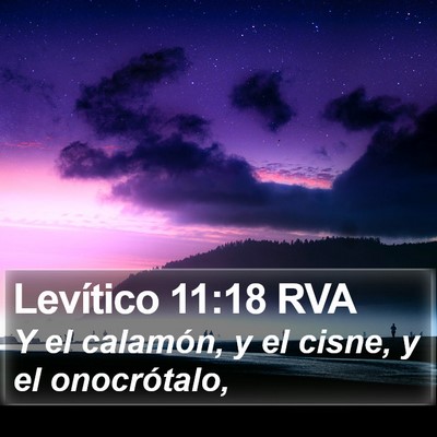 Levítico 11:18 RVA Bible Verse Image