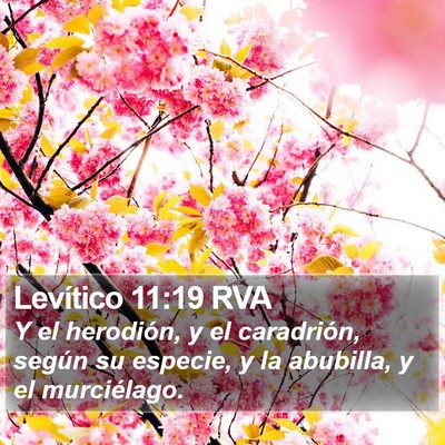 Levítico 11:19 RVA Bible Verse Image