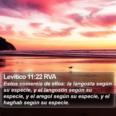 Levítico 11:22 RVA Bible Verse Image