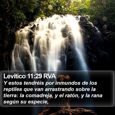 Levítico 11:29 RVA Bible Verse Image