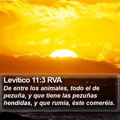 Levítico 11:3 RVA Bible Verse Image