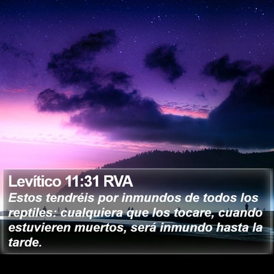 Levítico 11:31 RVA Bible Verse Image