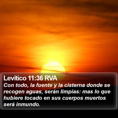 Levítico 11:36 RVA Bible Verse Image