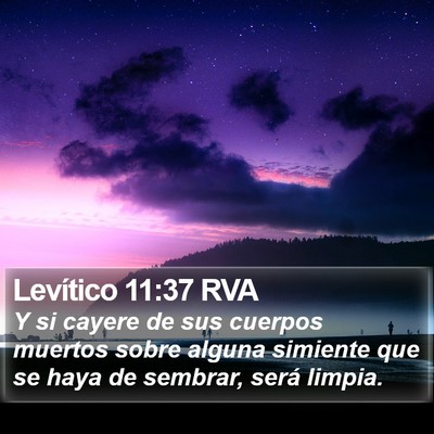 Levítico 11:37 RVA Bible Verse Image