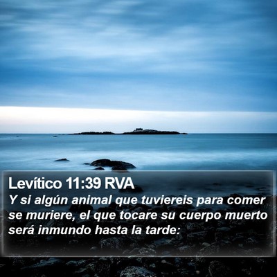 Levítico 11:39 RVA Bible Verse Image