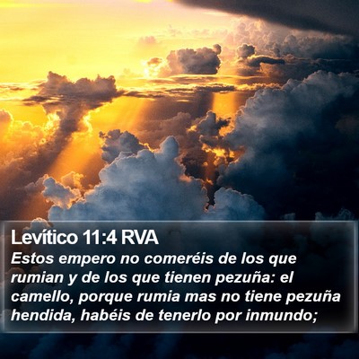 Levítico 11:4 RVA Bible Verse Image