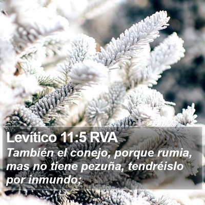 Levítico 11:5 RVA Bible Verse Image