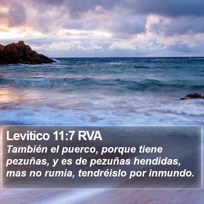 Levítico 11:7 RVA Bible Verse Image