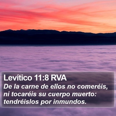 Levítico 11:8 RVA Bible Verse Image