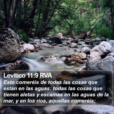 Levítico 11:9 RVA Bible Verse Image