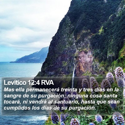 Levítico 12:4 RVA Bible Verse Image
