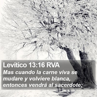 Levítico 13:16 RVA Bible Verse Image