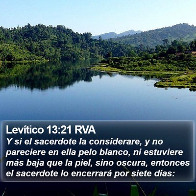 Levítico 13:21 RVA Bible Verse Image