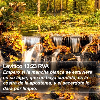 Levítico 13:23 RVA Bible Verse Image