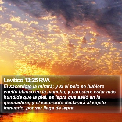 Levítico 13:25 RVA Bible Verse Image