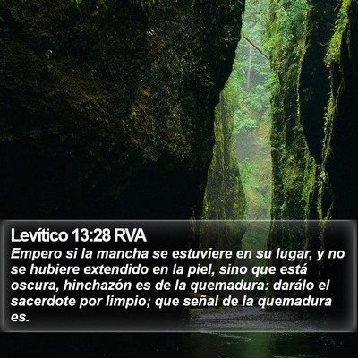 Levítico 13:28 RVA Bible Verse Image
