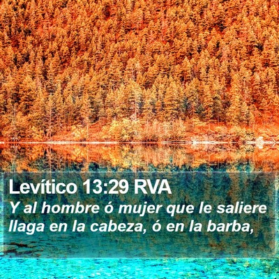 Levítico 13:29 RVA Bible Verse Image