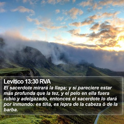 Levítico 13:30 RVA Bible Verse Image