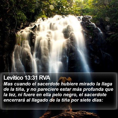Levítico 13:31 RVA Bible Verse Image