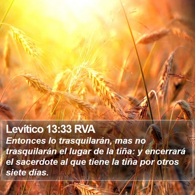 Levítico 13:33 RVA Bible Verse Image