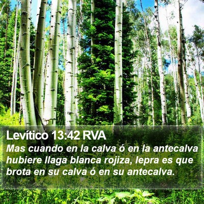 Levítico 13:42 RVA Bible Verse Image