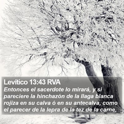 Levítico 13:43 RVA Bible Verse Image