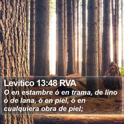 Levítico 13:48 RVA Bible Verse Image