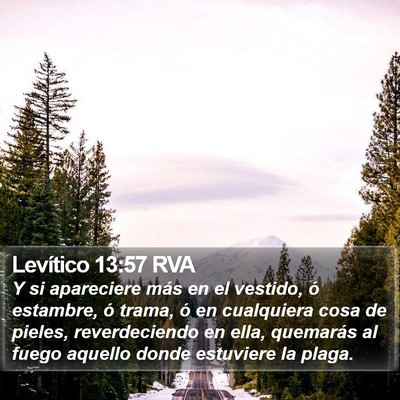 Levítico 13:57 RVA Bible Verse Image
