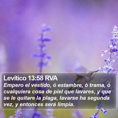 Levítico 13:58 RVA Bible Verse Image