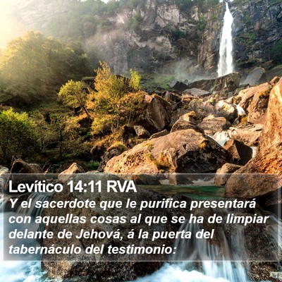 Levítico 14:11 RVA Bible Verse Image