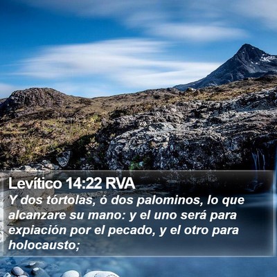 Levítico 14:22 RVA Bible Verse Image