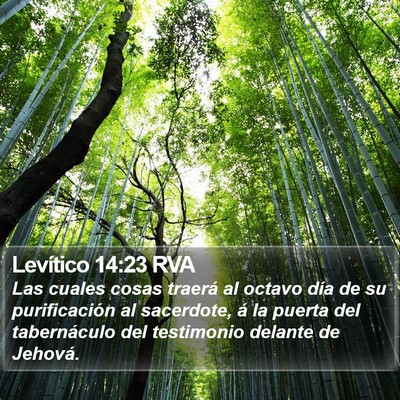 Levítico 14:23 RVA Bible Verse Image