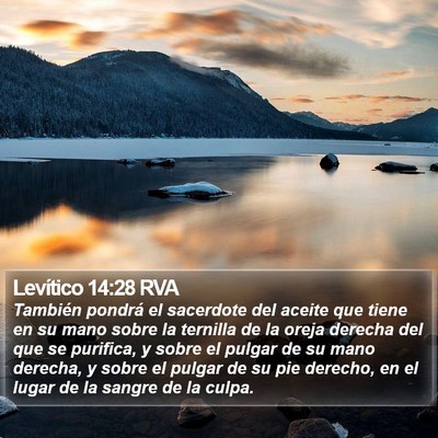 Levítico 14:28 RVA Bible Verse Image