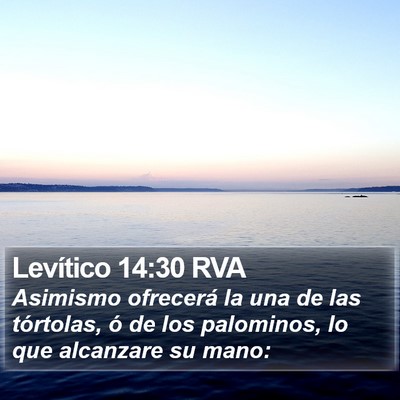 Levítico 14:30 RVA Bible Verse Image