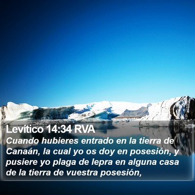 Levítico 14:34 RVA Bible Verse Image