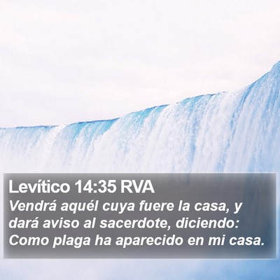 Levítico 14:35 RVA Bible Verse Image
