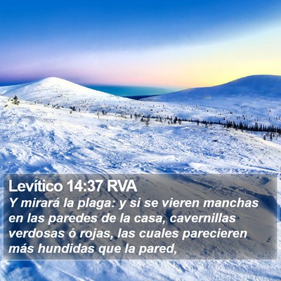 Levítico 14:37 RVA Bible Verse Image