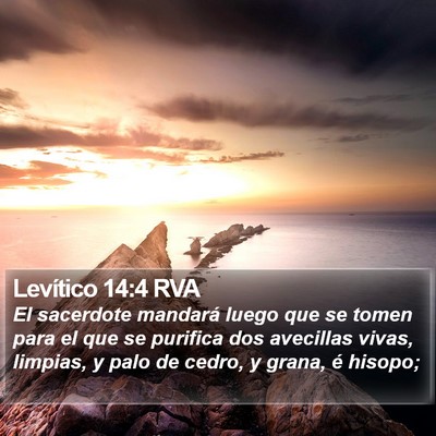 Levítico 14:4 RVA Bible Verse Image