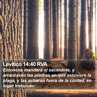 Levítico 14:40 RVA Bible Verse Image