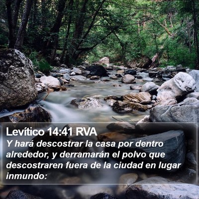 Levítico 14:41 RVA Bible Verse Image