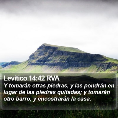 Levítico 14:42 RVA Bible Verse Image